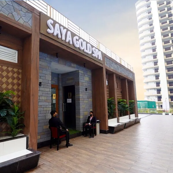 Saya Gold Avenue, image 5 of 11