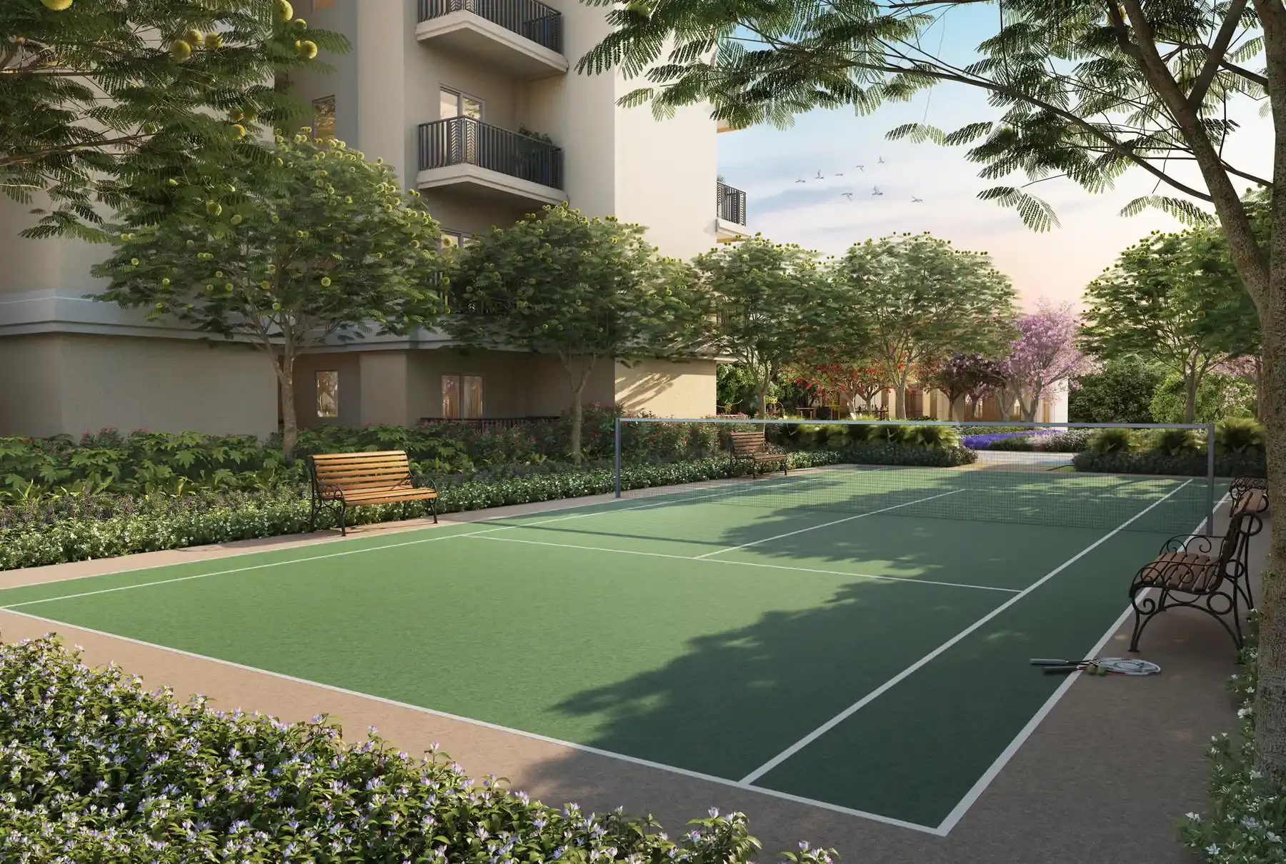 ACE Terra, image 7 of 8