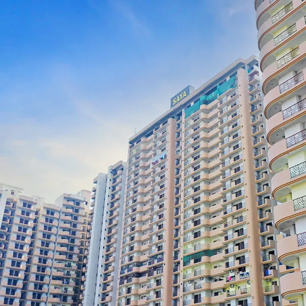 Saya Gold Avenue, image 9 of 11